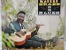 Muddy Waters: Brass And The Blues