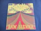 Savoy Brown - Raw Sienna 1970 UK LP 