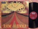 SAVOY BROWN Raw Sienna LP Decca 1970 MONO 