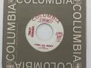 Northern Soul 45 / Turley Richards I Feel All 