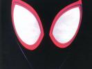 VARIOUS - Spiderman: Into The Spider Verse (