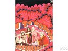 SAUTERELLES View To Heaven German ORIG psych