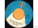 Los Bravos spanish psych freakbeat PERU 45