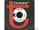 CHOCOLATE WATCH BAND : GARAGE PUNK DEMO 45