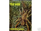 THE WEB - THERAPHOSA BLONDI. (UK ON DERAM)