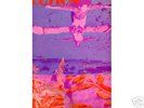 RARE PRIVATE HAWAII ISLAND FOLK PSYCH 