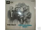 DOWNLINERS SECT - THE SECT - LP mono