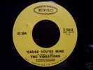 Northern Soul 45 THE VIBRATIONS on EPIC Cause Your Mine