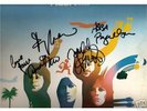 ABBA FULLY signed 