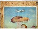 SAMETI - Same Kraut Prog  Org grünes Brain 1020