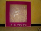 B.F. TRIKE - ROCKADELIC -PSYCH