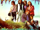 COSMIC DEALER CRYSTALLIZATION TOP DUTCH PSYCH LP ORIG