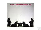 The Spaniels LP Promo White Label Excellent+
