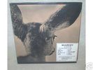 Sharkey :Rare Private Press Ca Rural psych LP SEALED NR