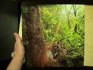 Douglas Fir Hard Heartsingin' RARE PSYCH LP w/NM VINYL