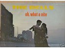 Doo Wop Lp The Dells OH WHAT A NITE On Vee-Jay