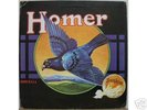 HOMER Grown in U.S.A. TX GUITAR PSYCH Rare Original LP