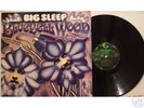 BIG SLEEP (UK prog-folk psych LP)