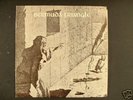 Bermuda Triangle  Private Press Folk Psych LP Aerosmith