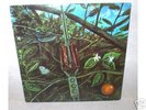 Dragonfly (Megaphone) 1969 Orig Heavy Fuzz Psych LP