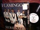 The  Flamingos Serenade1959 LP-304  End records Nice