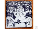 insane '71 private experimental lp: ROOTS OF MADNESS
