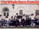 THE WHOLE DARN FAMILY 