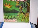 TANGERINE De L'autre Cote De La Foret PROG Folk France