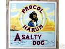 PROCUL HARUM A Salty Dog UK 1st LP NMINT Orig 1969