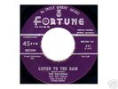 Rare doo-wop 45 The Delteens Listen To the Rain Fortune