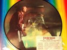 STEVIE RAY VAUGHAN  PICTURE DISC LP  RARE   MINT