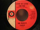 NORTHERN SOUL PEOPLES CHOICE SAVIN ON RARE PALMER