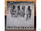 DYS Brotherhood LP PUNK Straight Edge