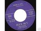 Killer 1950s rockabilly 45 - ROCKY DAVIS - Blue Sky
