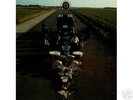 Pink Floyd - Ummagumma, Obscured by Clouds, The Wall