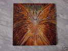 CYNIC :FOCUS LP    DEATH ATHEIST PESTILENCE ANACRUSIS
