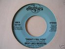 Northern Soul Great Lakes Orchestra Didn't I tell you
