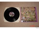 THE STONE ROSES SO YOUNG 1985  12