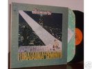 FLORA FAUNA E CEMENTO:LP-DISAMORE-ITALY PROGRESSIV