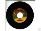 THE LIGHT OF SABA/LAMBS BREAD COLLIE - LIGHT OF SABA 7