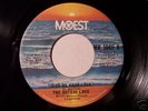 Funk 45 THE SISTERS LOVE on MOWEST Give Me Your Love