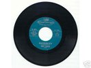 JIMMY GORDON Buzzzzzz FUZZY MOD KILLER 45
