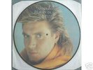 DURAN DURAN Annirosijo Picture Disc LP ()