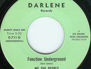 WE THE PEOPLE rare AZ northern funk DARLENE 45 ((hear))