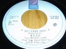 RUSH - Not Fade Away - 1st Single - MN 001