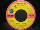 Terry Callier Ordinary Joe northern soul 45