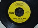 The Vibrations - 'Cause you're Mine