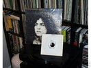 Tyrannosaurus Rex: A Beard of Stars - OG w/ bonus 45