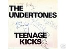 UNDERTONES TEENAGE KICKS SIGNED 7” GATEFOLD POSTER