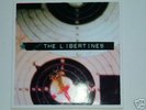 The Libertines What A Waster debut 7